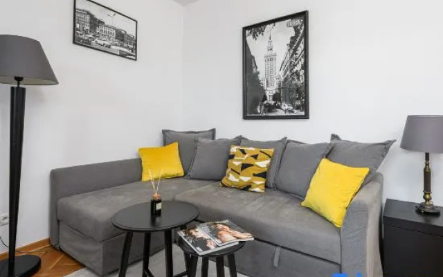 Lumina 3-room apart near the Royal Castle