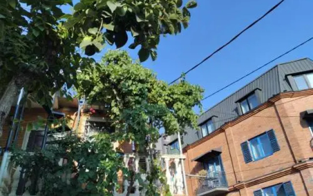New Tbilisi Hostel