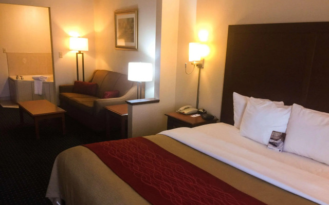 Comfort Inn & Suites Mount Pocono