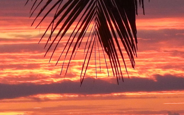 The Reef Motel Aitutaki