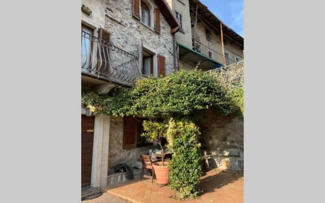 Nido di Rongio