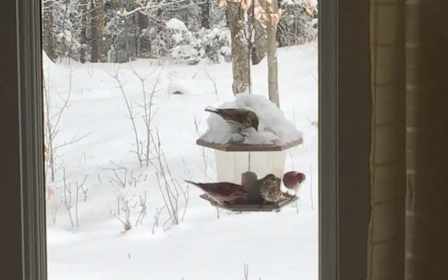 Pantoufles Et Confiture