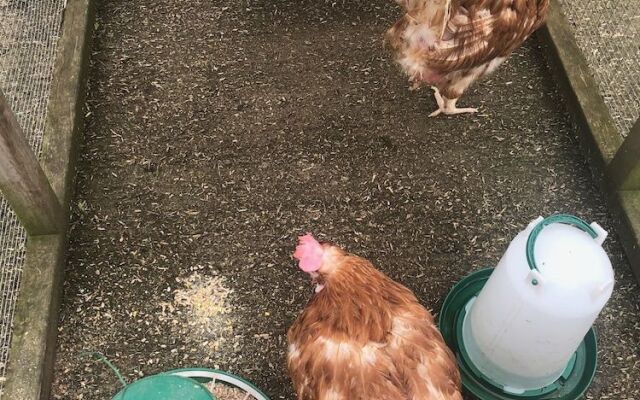Home Farm