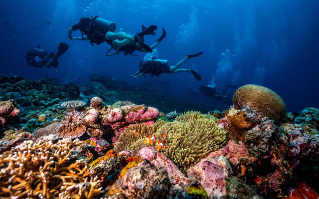 Trawangan Dive