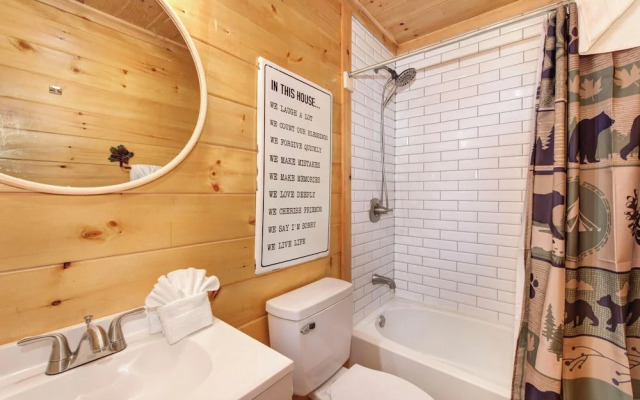 Beary Nice to Meet You!