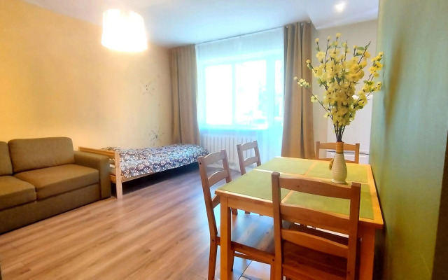 2 Rooms Apartment in Trendy Paupys