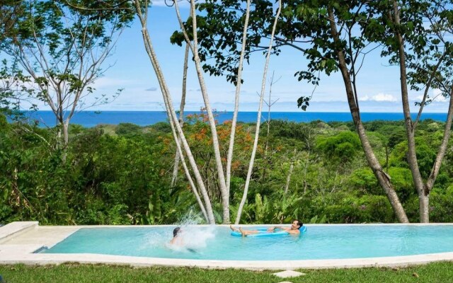 Jungle Lodge at Wild Sun Rescue