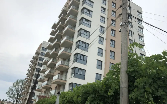 West Park 2 Residence by Lake View