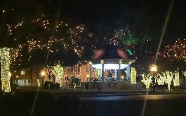 Ss 6b Teckelhaus 2 Bedroom Condo by RedAwning