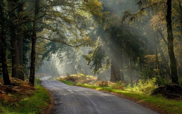 Muhuhu - Luxury Apartment