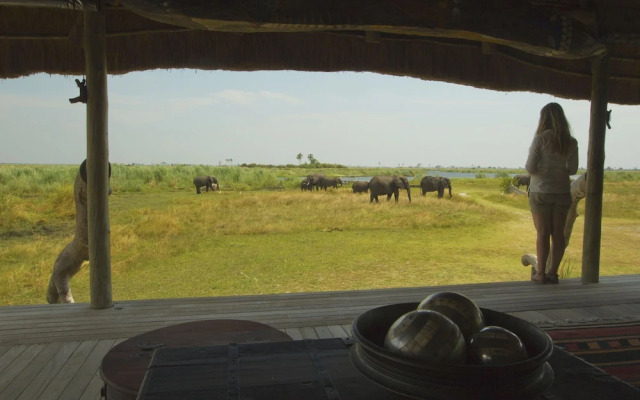 Selinda Camp