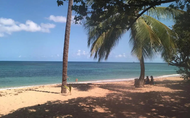 Les bungalows de la plage