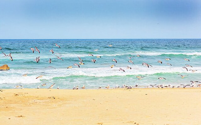 Sokcho Dal Beach Pension