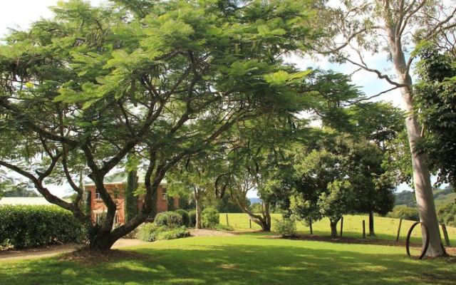Seasons of Maleny B&B