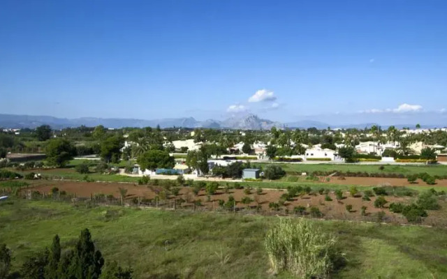 La Marjal 5