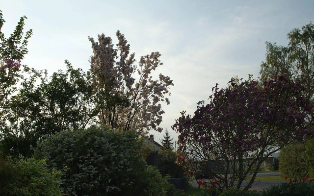 Waldesblick Hotel & Ferienwohnungen