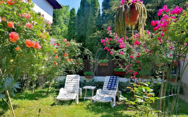 Modern&Cozy Bosnian house with GARDEN+FREE parking