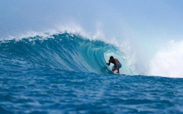 Serene Blue Bowls Surf Inn