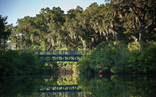 Montage Palmetto Bluff