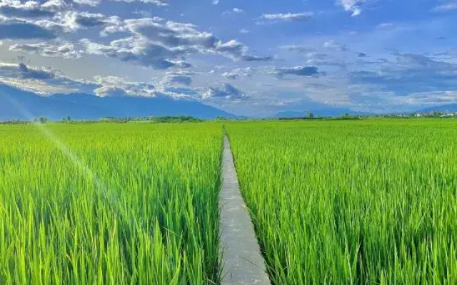 SuYin Designer Countryside Homestay (Erhai Huanhai West Road