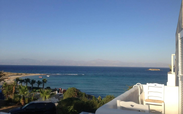 Paros Blue Dolphin