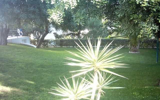 Tavira Garden