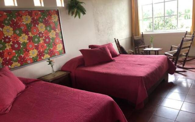 Hotel Constanza Villas & Club