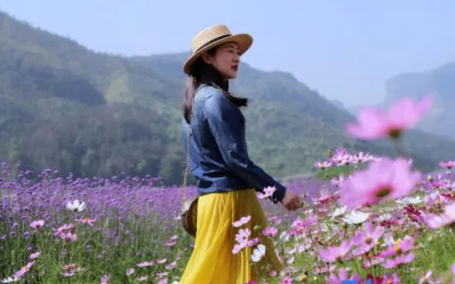 Villa-BlueTree Boutique Guesthouse