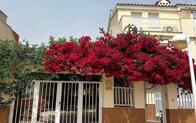 Villas Morro De Gos Oropesa 3000