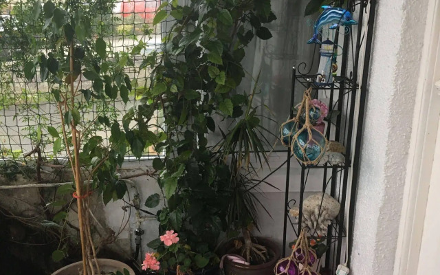 Jasmine House