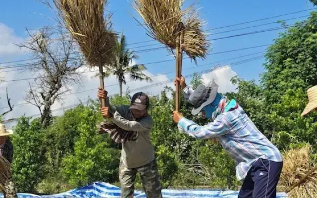 Zuu Tee Organic Farm & Roastery
