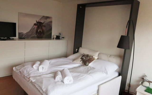 Bouleaux K4 Nendaz in Nendaz