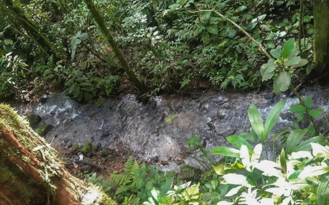 Rio Celeste Family Lodge