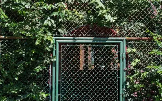 Shenmi Sidou Hostel