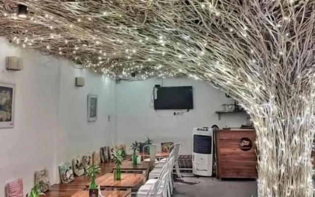 Seed Resort