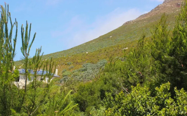 Seascape, Simon's Town
