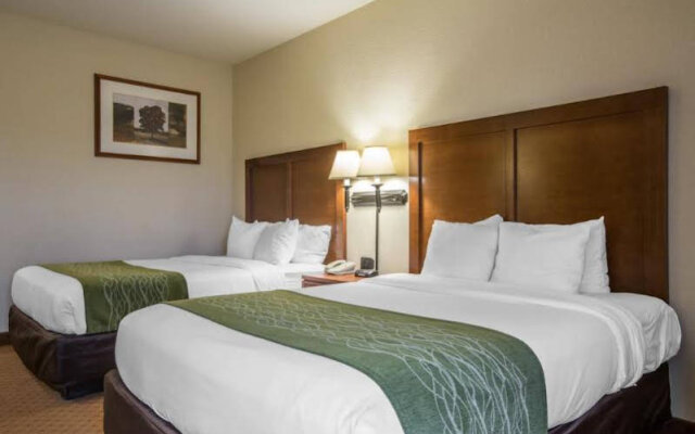 Comfort Inn & Suites Goshen - Middletown