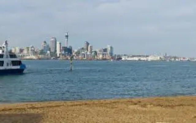 Devonport Palms