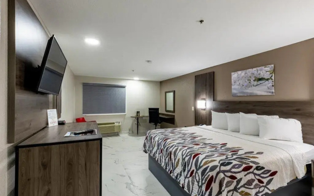 Red Roof Inn Pharr - McAllen