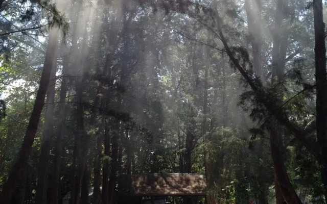 The Naka Camp