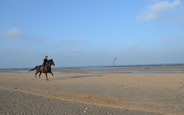 Le Castillon