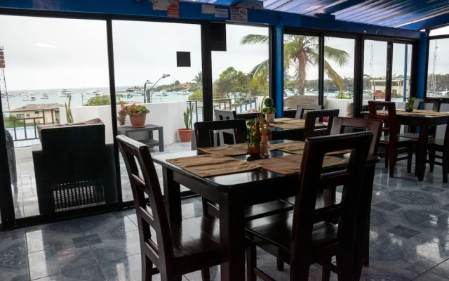 Hostal Flightless Cormorant