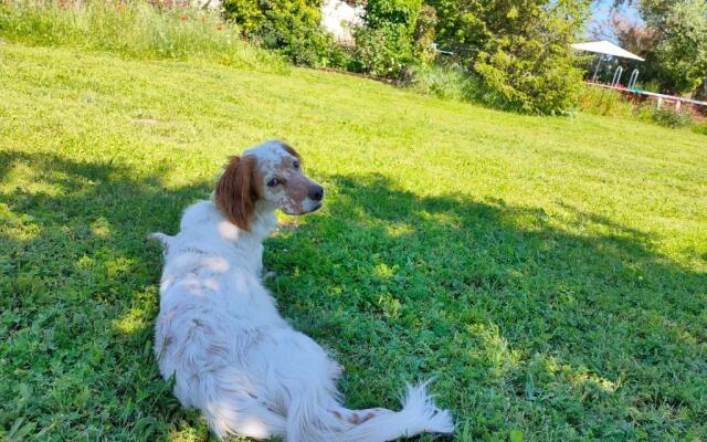 La Pause Val de Loire (20 mins - Zoo de Beauval)