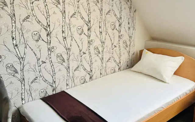 Сова на Преображенской площади