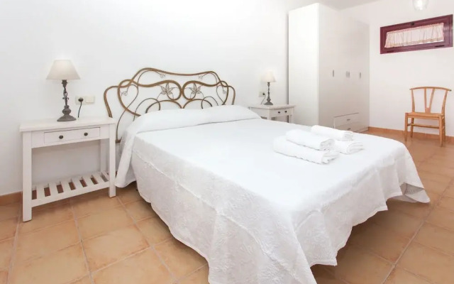 Anahi Home Dracaena 4