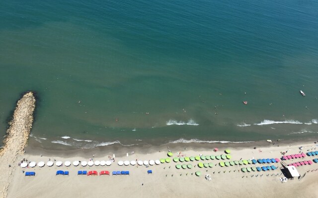 Edificio Palmetto Beach