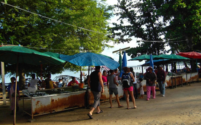 Palm Village