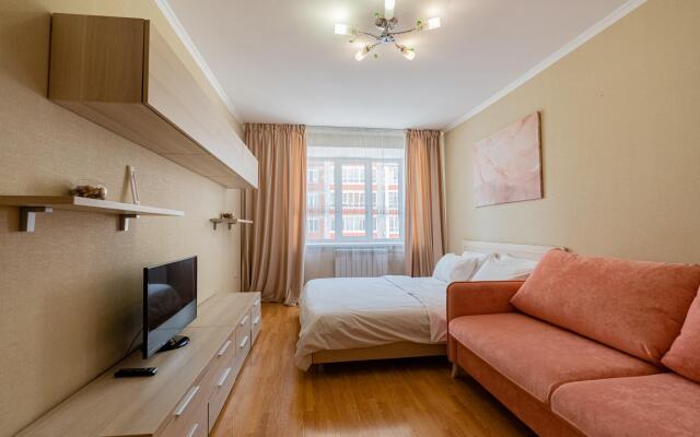 Апартаменты Петровские на Советской, 69