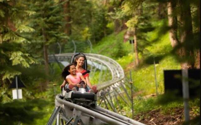 Snowmass Woodrun V 10