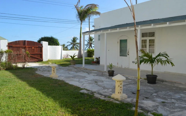 Tropical Gecko Studio